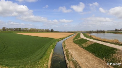 Daguitstap naar Kinderdijk & de Biesbosch met boottocht - DF Ukkel