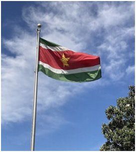 SURINAAMSE VLAG 2